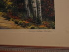  Preview image for Close-up of title 