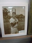  Preview image for Ted Williams Signature 