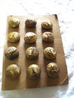  Preview image for Postal Buttons 