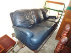  Preview image for Leather Sofa 