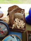  Preview image for Coral & Sea Shells 