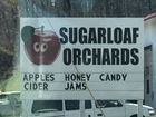 SUGARLOAF ORCHARDS 2 BAGS OF APPLES