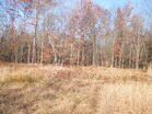 216+/- Acres w/ several home sites