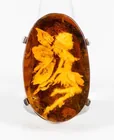  Preview image for Lot# 113 - Jewelry Amber Sterling Silver 
