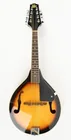  Preview image for Lot# 177 - Rogue RM-100A Acoustic Mandol 