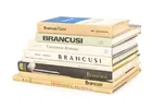  Preview image for Books on Constantin Brancusi, 8 