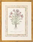  Preview image for Nicholas Robert "Helleborous Niger ..." 
