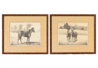  Preview image for Clarence William Anderson Horse 