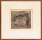  Preview image for Sheridan Oman "Young Jackrabbit" Etching 