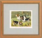  Preview image for Cassell's Book of the Dog "Basset 