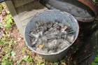  Preview image for Barrels of Bottles and Insulators 