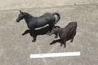  Preview image for Cast Iron Horses 