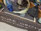  Preview image for Walking Sticks 