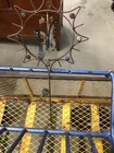  Preview image for Lot# 479 - Garden Spinner 