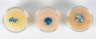  Preview image for Lot# 69 - Jewelry Unmounted Blue Topaz G 