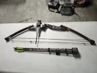  Preview image for Compound Bow w/Arrows 