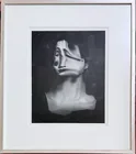  Preview image for Laurence Demaison, Les Eautres 