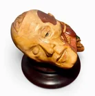  Preview image for Anatomical Papier-Mache. 1900s 