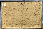  Preview image for Backside REED Vises NOS Sign 