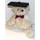  Preview image for Joelson Industries Plush GRADUATION BEAR 