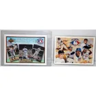  Preview image for 1991-1993 Upper Deck HEROS OF BASEBALL 