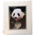  Preview image for Portal Publications Art Print PANDA 