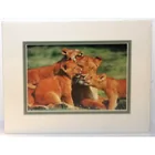  Preview image for PORTAL Publications Art Print LOTS OF 