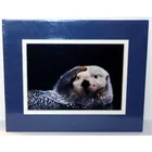  Preview image for Portal Publications Art Print SEA OTTER 