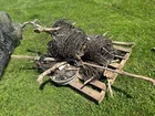  Preview image for PALLET BARB WIRE 