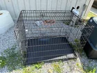  Preview image for PET CRATE 