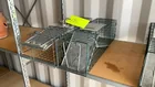  Preview image for Lot# 141 - Traps-2 