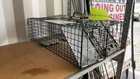  Preview image for Lot# 142 - Traps-2 