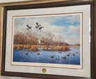  Preview image for Ducks Unlimited 