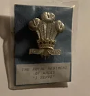  Preview image for ROYAL REGIMENT OF WALES HAT BADGE 