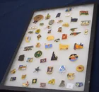  Preview image for Lions Club state pins 