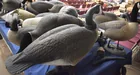  Preview image for decoys 