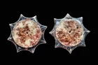  Preview image for Mixtec Obsidian and Agate Ear Ornaments, 