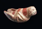  Preview image for Moche Grasshopper Effigy Vessel, Rare 