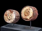  Preview image for Chimu Owl Mosaic Ear Spools, Turquoise 