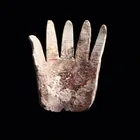  Preview image for Mississippian Shell Hand Gorget, SECC | 