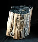  Preview image for Petrified Wood Sequoia Trunk | Quartz 