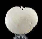  Preview image for Mississippian Welk Shell Gorget, 