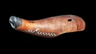  Preview image for Early Kayan Dayak Hudoq Boar Mask, 