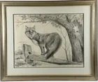  Preview image for Graphite Sketch of Fox by John Ruthven 