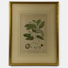  Preview image for Three Early Engraving/Etchings 