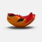  Preview image for Toots Zynsky: "Birds of Paradise" 