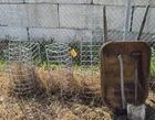  Preview image for Lot# 2005 - Galvanized Metal Horse Hay F 