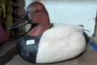  Preview image for Lot# 13 - George Kruth Canvasback Duck D 