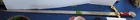  Preview image for Lot# 211 - Collector Sword Of Christophe 