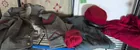  Preview image for Lot# 1015 - Civil War, Reenactment Cloth 